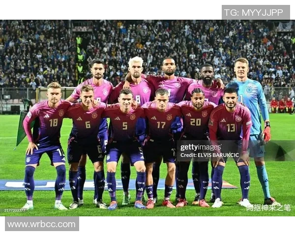 波黑足球明星阵容揭秘探索他们的辉煌成就与影响力