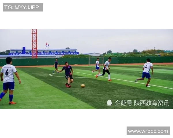 乒乓球的魅力与团结精神西安乒乓球队的协作之道探秘