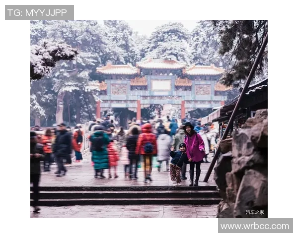 北京乒乓球队心理素质深度对比分析与提升策略探讨 北京乒乓球队心理素质深度对比分析与提升策略探讨