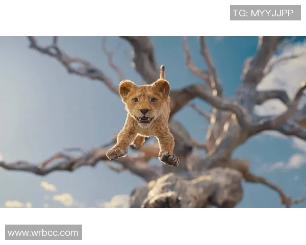 古代足球明星小鸡图片揭秘那些年他们的精彩瞬间与传奇故事