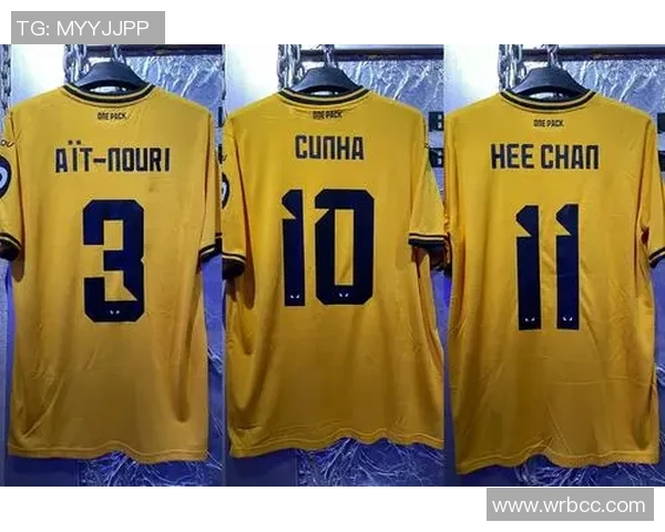 探索WF足球角色的魅力与战术运用全解析 探索WF足球角色的魅力与战术运用全解析